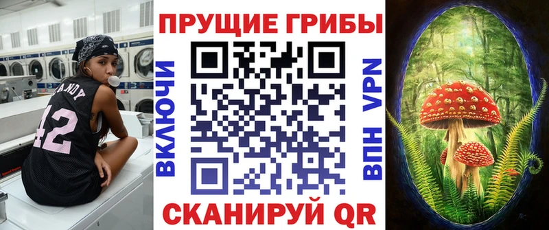 Псилоцибиновые грибы Psilocybine cubensis  где можно купить наркотик  Аргун 